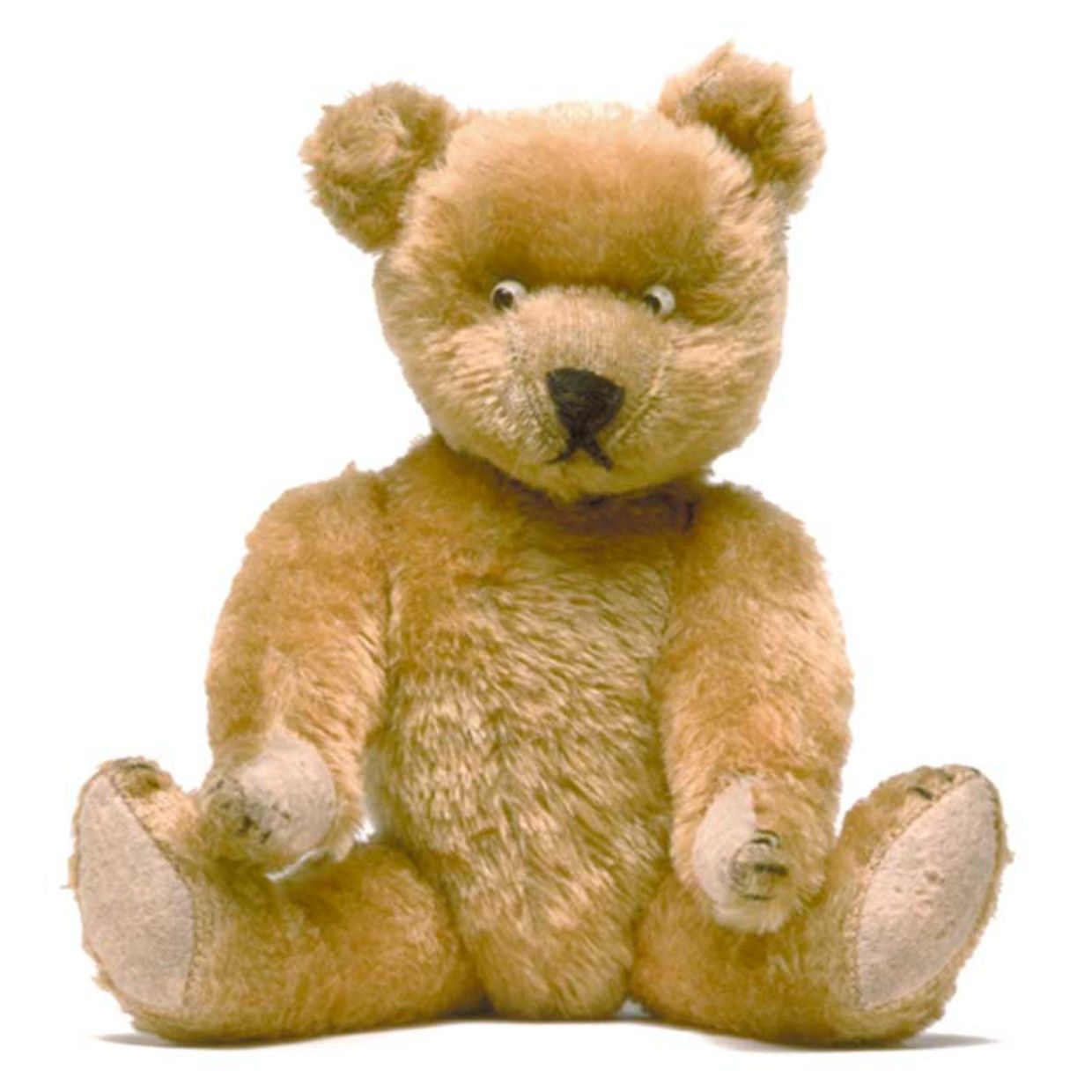 Berryman Bear, 1906, America